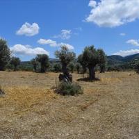 Land plot in Greece, Crete