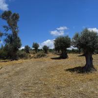 Land plot in Greece, Crete
