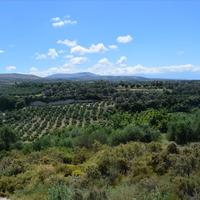 Land plot in Greece, Crete
