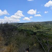 Land plot in Greece, Crete