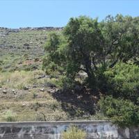 Land plot in Greece, Crete