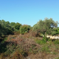Land plot in Greece, Ionian Islands, 650 sq.m.