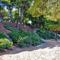 Отель (гостиница) в Греции, Центральная Македония, Центр, 240 кв.м.