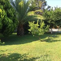 Другое в Греции, Центральная Македония, Центр, 75 кв.м.