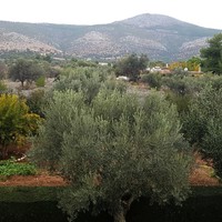 Villa in Greece, 440 sq.m.