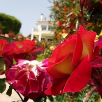 Villa in Greece, 440 sq.m.