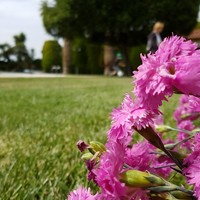 Villa in Greece, 440 sq.m.