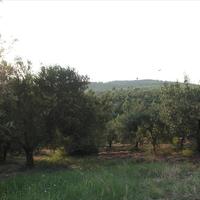 Land plot in Greece, Central Macedonia, Center