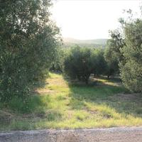 Land plot in Greece, Central Macedonia, Center