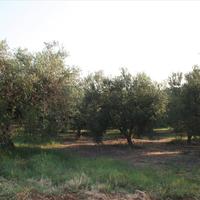Land plot in Greece, Central Macedonia, Center