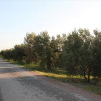 Land plot in Greece, Central Macedonia, Center