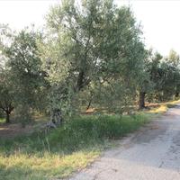 Land plot in Greece, Central Macedonia, Center