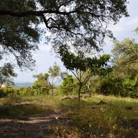 Land plot in Greece, Ionian Islands, 3600 sq.m.