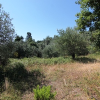 Земельный участок в Греции, Ионические острова, 2000 кв.м.