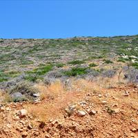 Land plot in Greece, Crete