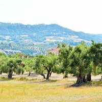 Land plot in Greece, Central Macedonia, Center
