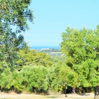 Land plot in Greece, Central Macedonia, Center