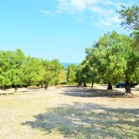 Land plot in Greece, Central Macedonia, Center