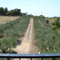 Другое в Греции, Центральная Македония, Центр, 106 кв.м.