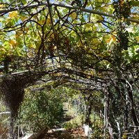 Other in Greece, Crete, Chania, 168 sq.m.