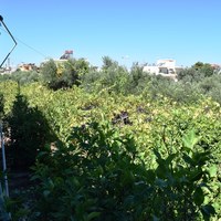 Other in Greece, Crete, Chania, 168 sq.m.