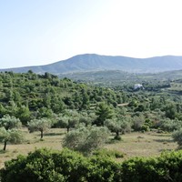 Другое в Греции, Аттика, Афины, 320 кв.м.