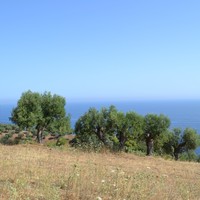 Land plot in Greece, Central Macedonia, Center
