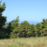 Land plot in Greece, Central Macedonia, Center