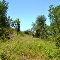 Земельный участок в Греции, Ионические острова, 2000 кв.м.