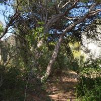 Land plot in Greece, Attica, Athens