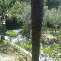 Other in Greece, Central Macedonia, Center, 315 sq.m.