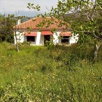 Other in Greece, Thessaly, 60 sq.m.