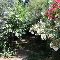 Другое в Греции, Аттика, Афины, 150 кв.м.