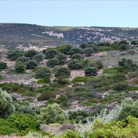 Land plot in Greece, Crete, Irakleion