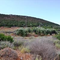 Land plot in Greece, Crete, Irakleion