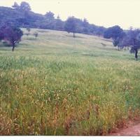 Земельный участок в Греции, Фессалия