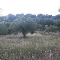 Land plot in Greece, Central Macedonia, Center