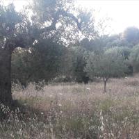 Land plot in Greece, Central Macedonia, Center