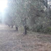 Land plot in Greece, Central Macedonia, Center