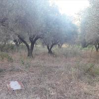 Land plot in Greece, Central Macedonia, Center