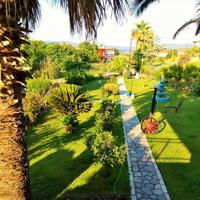 Other in Greece, Dode, 240 sq.m.