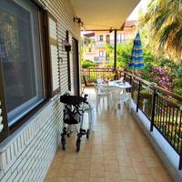 Other in Greece, Dode, 240 sq.m.