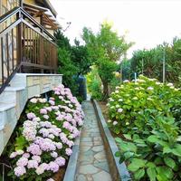 Other in Greece, Dode, 240 sq.m.