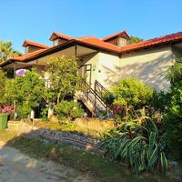 Other in Greece, Dode, 240 sq.m.