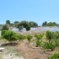 Другое в Греции, Аттика, Афины, 120 кв.м.