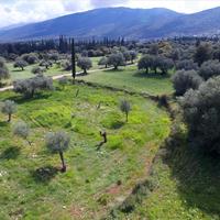 Land plot in Greece, Ionian Islands