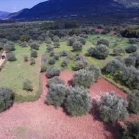 Land plot in Greece, Ionian Islands