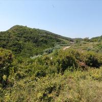 Land plot in Greece, Ionian Islands