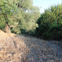 Земельный участок в Греции, Ионические острова, 1500 кв.м.