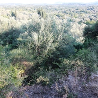 Земельный участок в Греции, Ионические острова, 1500 кв.м.